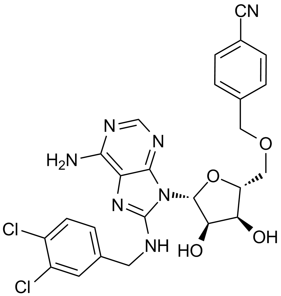 VER 155008ͼƬ