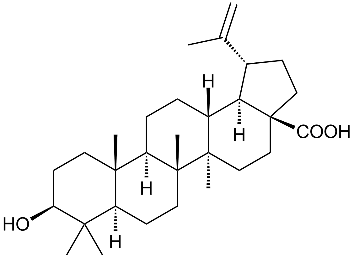 Betulinic acid图片