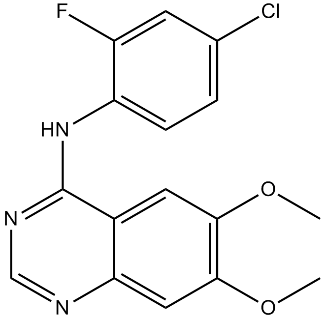 ZM 306416ͼƬ