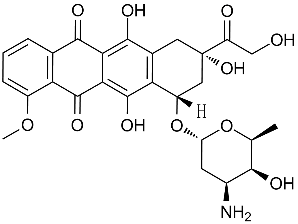 DoxorubicinͼƬ