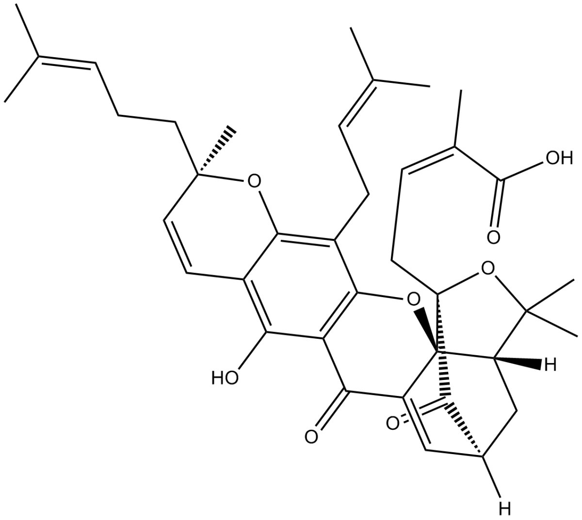 Gambogic AcidͼƬ