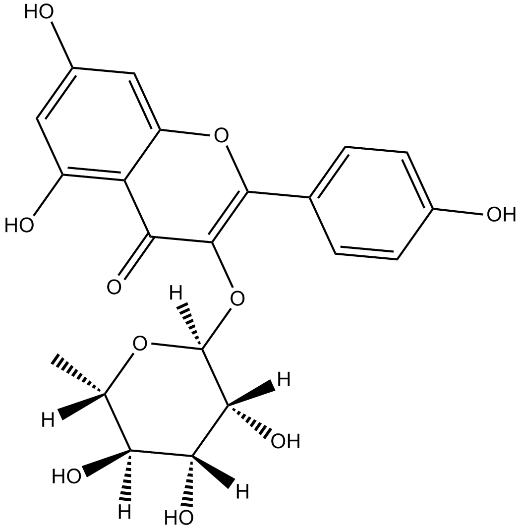 Kaempferol-3-O-glucorhamnosideͼƬ