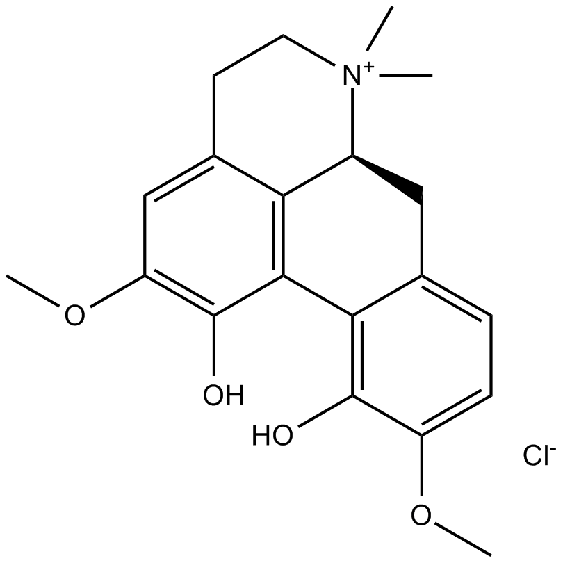 Magnoflorine chlorideͼƬ