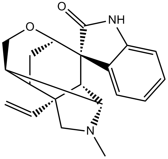 GelsemineͼƬ