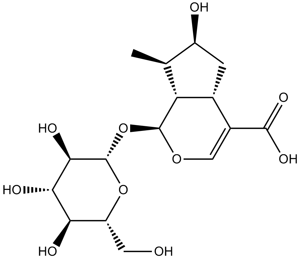 Loganic acidͼƬ