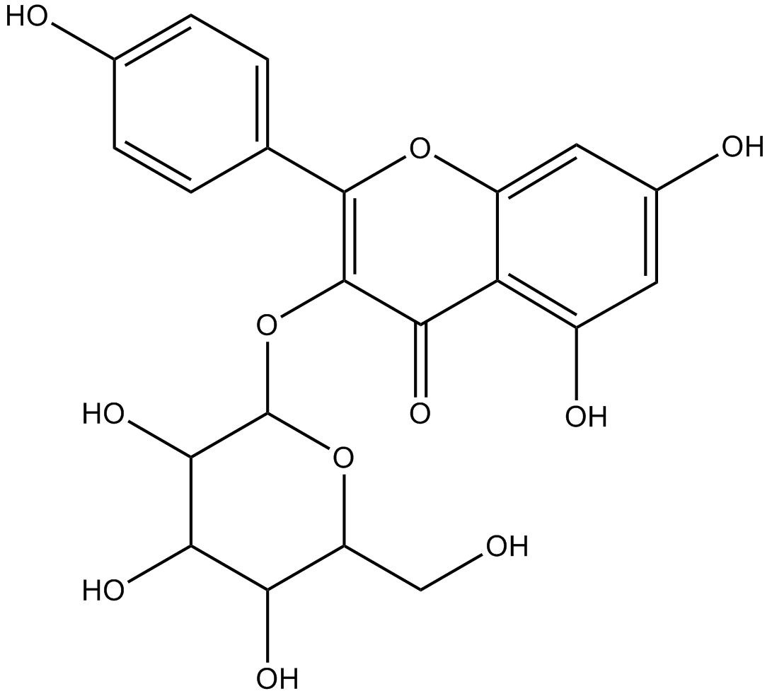 astragalin图片