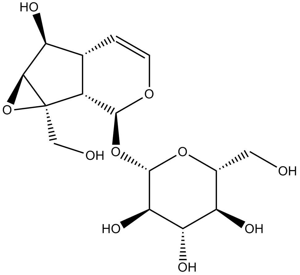 CatalpolͼƬ