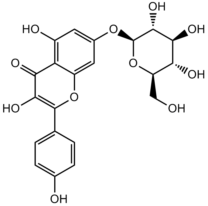 Kaempferol-7-O--D-glucopyranosideͼƬ