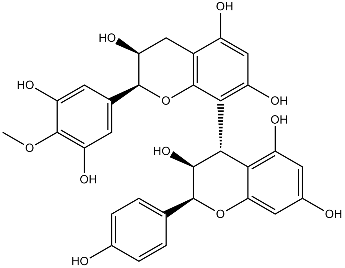 Grape Seed ExtractͼƬ