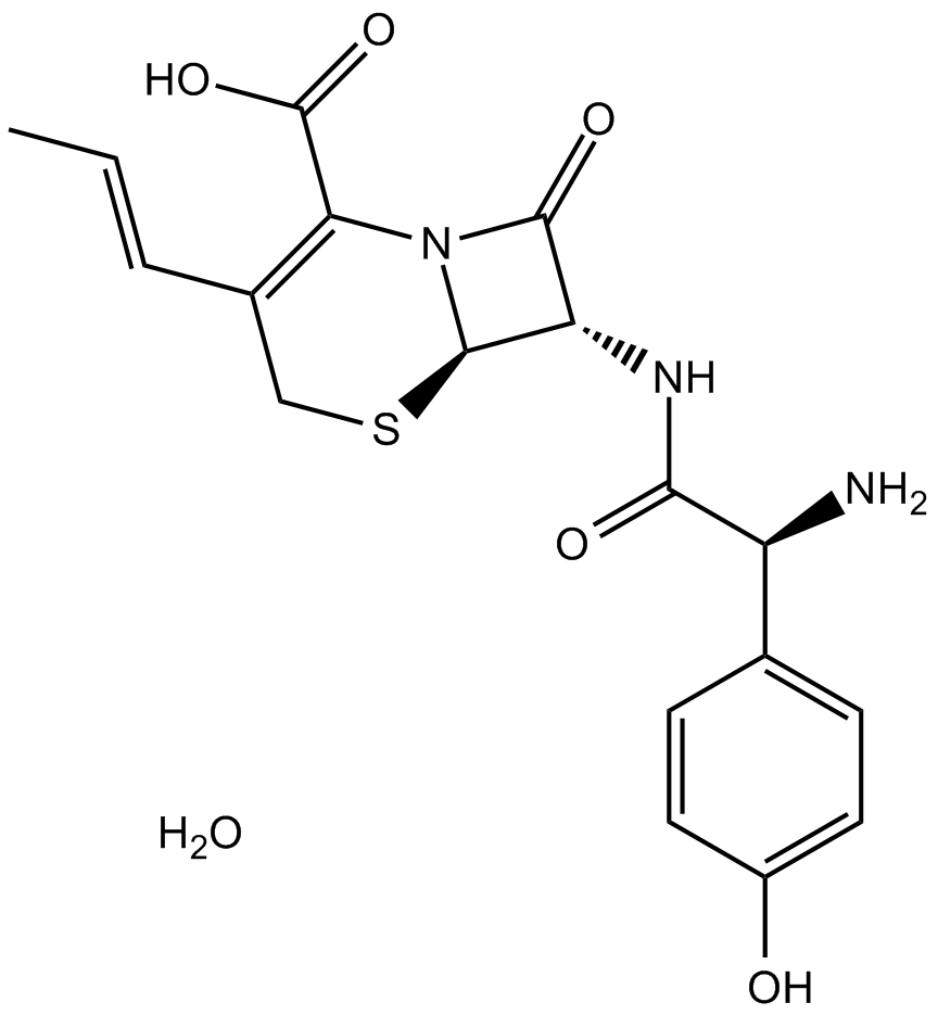 Cefprozil hydrateͼƬ