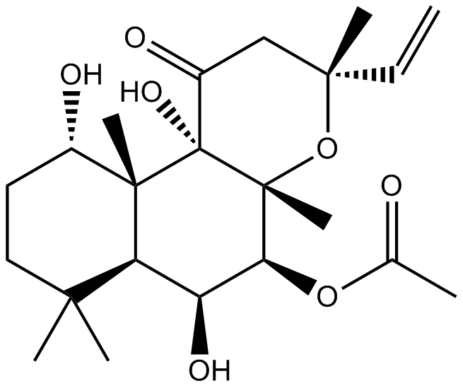 ForskolinͼƬ