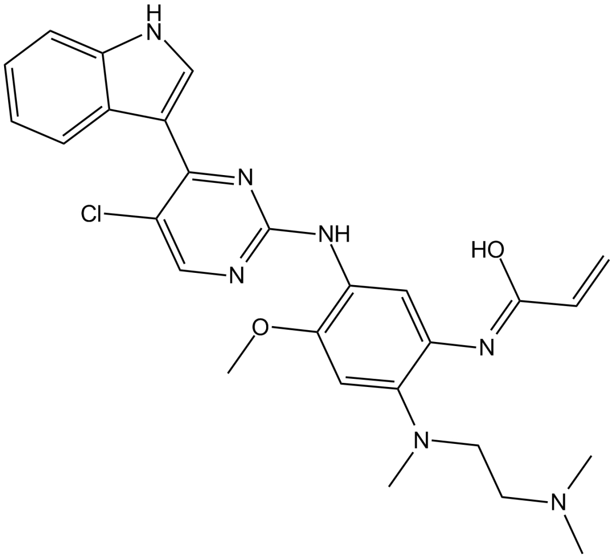 Mutant EGFR inhibitorͼƬ