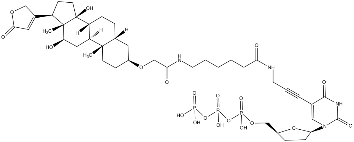 Digoxigenin-11-ddUTPͼƬ