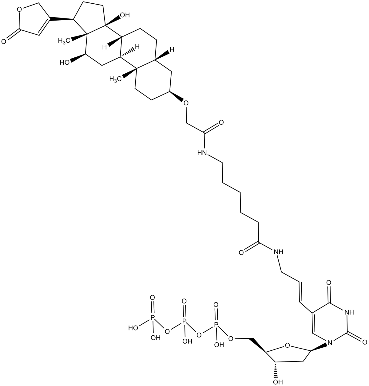 Digoxigenin-11-dUTPͼƬ