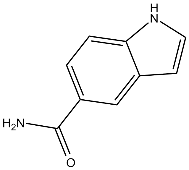 SD 169图片