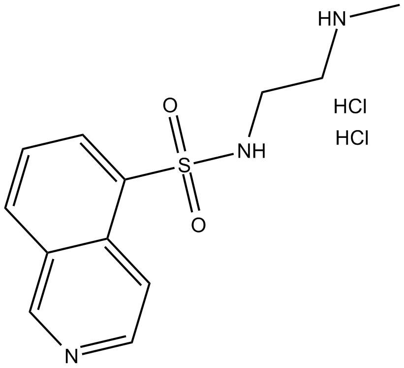 H-8(hydrochloride)ͼƬ