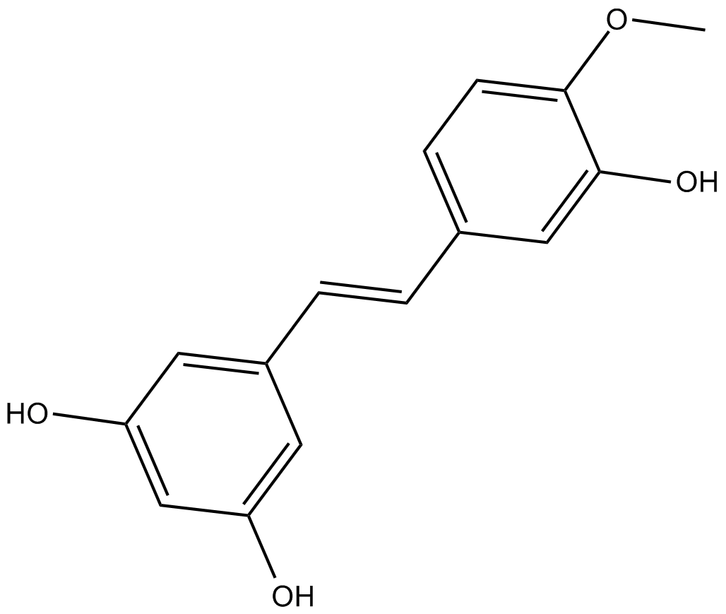 RhapontigeninͼƬ