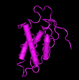 IL-21,human recombinant proteinͼƬ