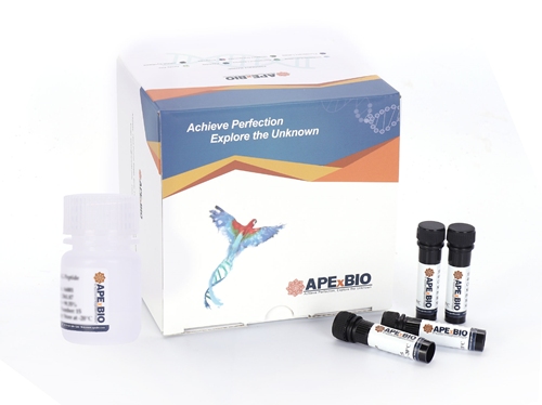 Caspase-8 Colorimetric Assay KitͼƬ