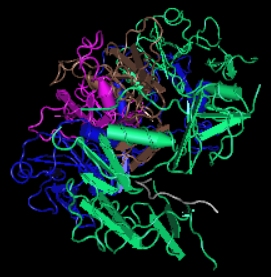 Follistatin,human recombinant proteinͼƬ