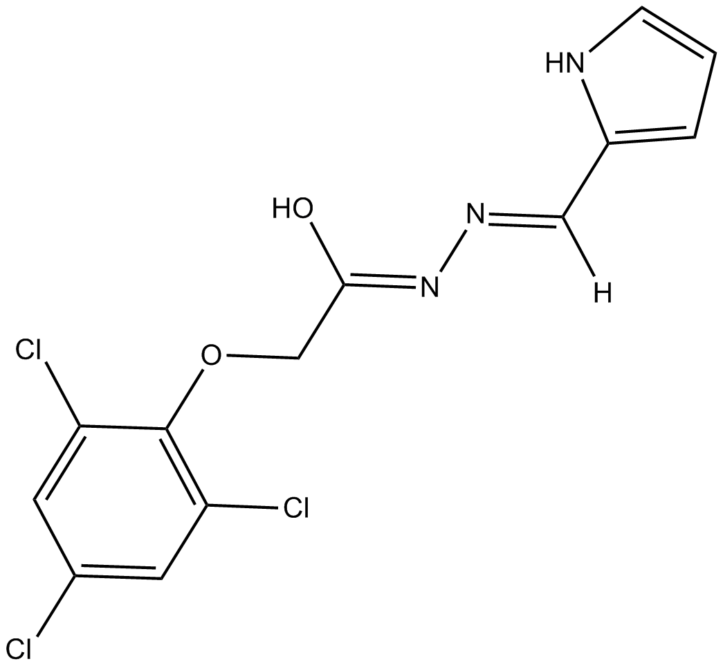 ML 239ͼƬ