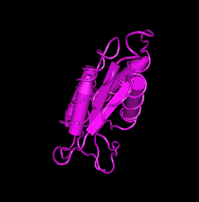 GM-CSF,rat recombinant图片