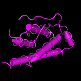 IL-2,human recombinantͼƬ