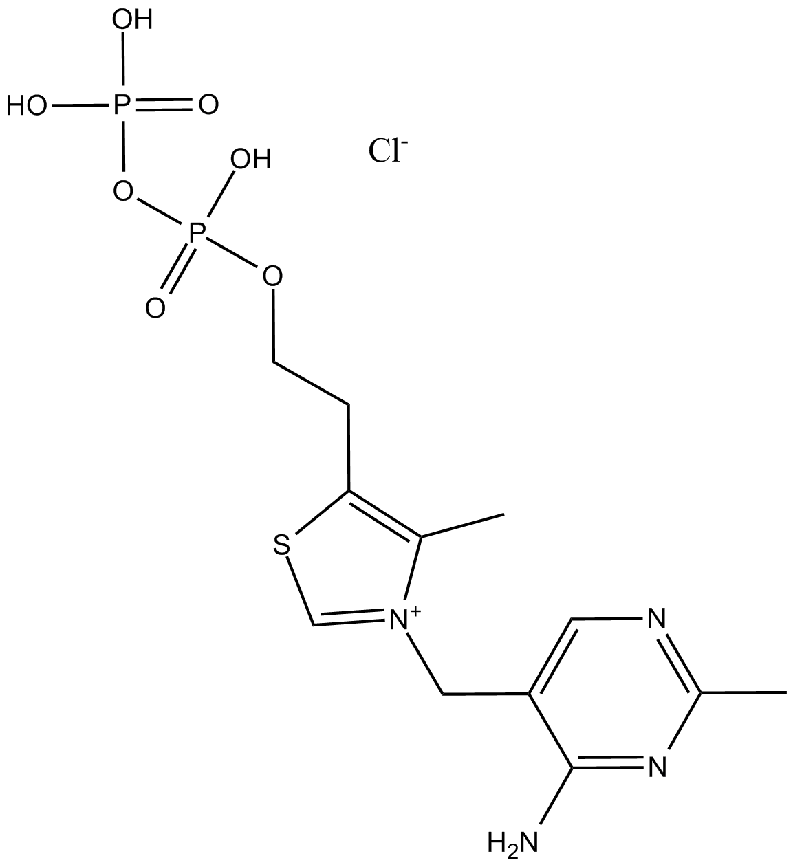 Thiamine pyrophosphateͼƬ