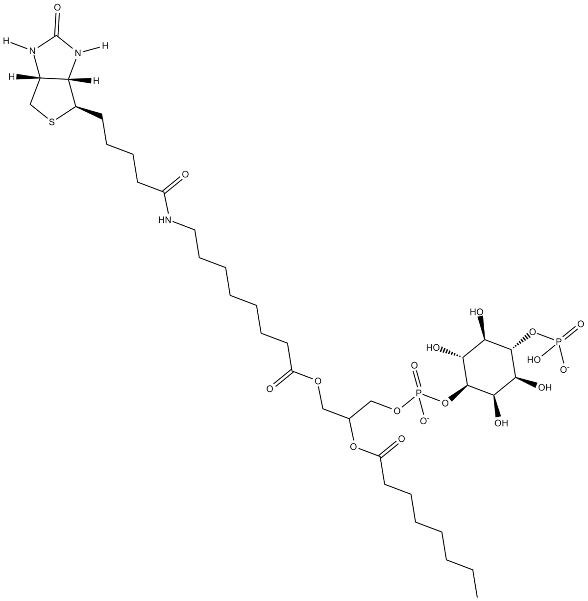 PtdIns-(4)-P1(1,2-dioctanoyl)-biotin(sodium salt)ͼƬ