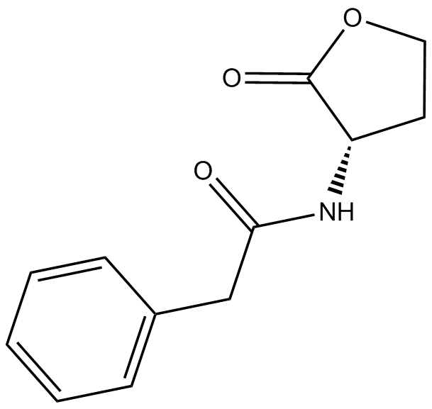 N-phenylacetyl-L-Homoserine lactoneͼƬ