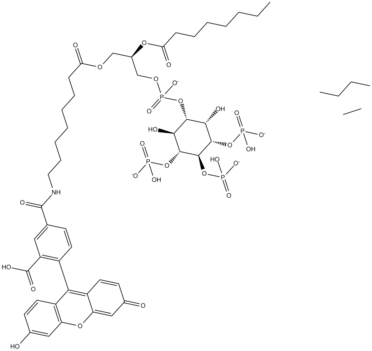 PtdIns-(3,4,5)-P3-fluorescein(ammonium salt)ͼƬ