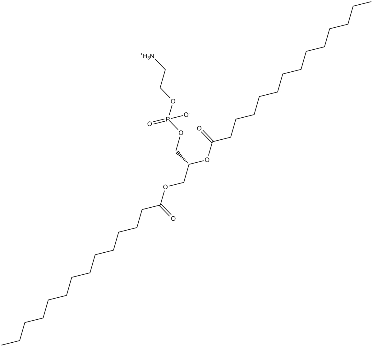 1,2-Dimyristoyl-sn-glycero-3-PEͼƬ