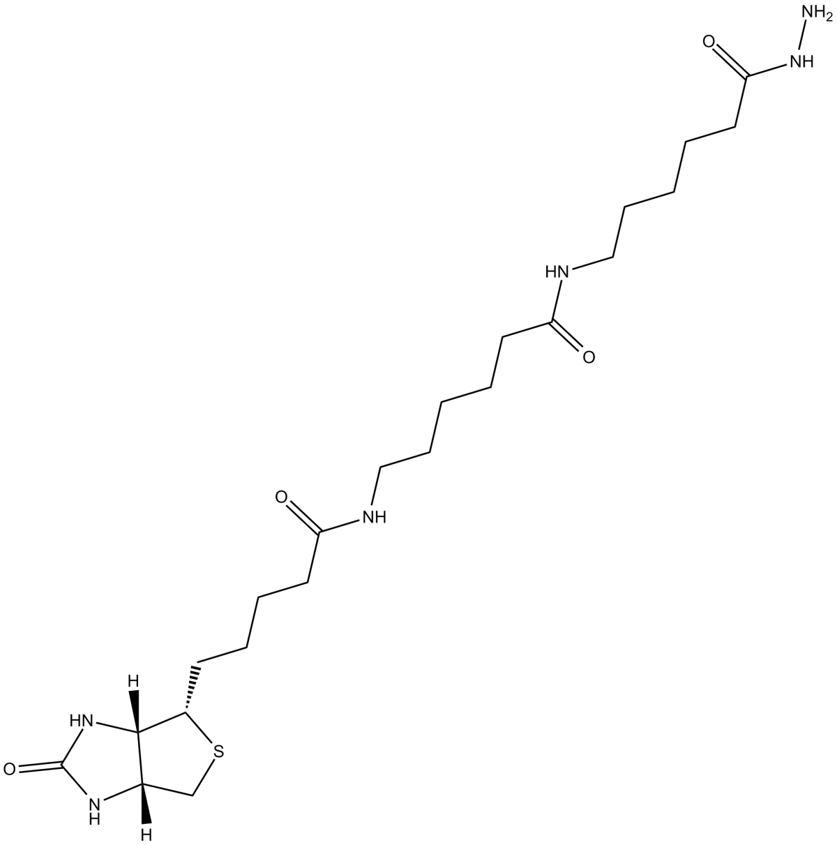 Biotin-XX hydrazideͼƬ