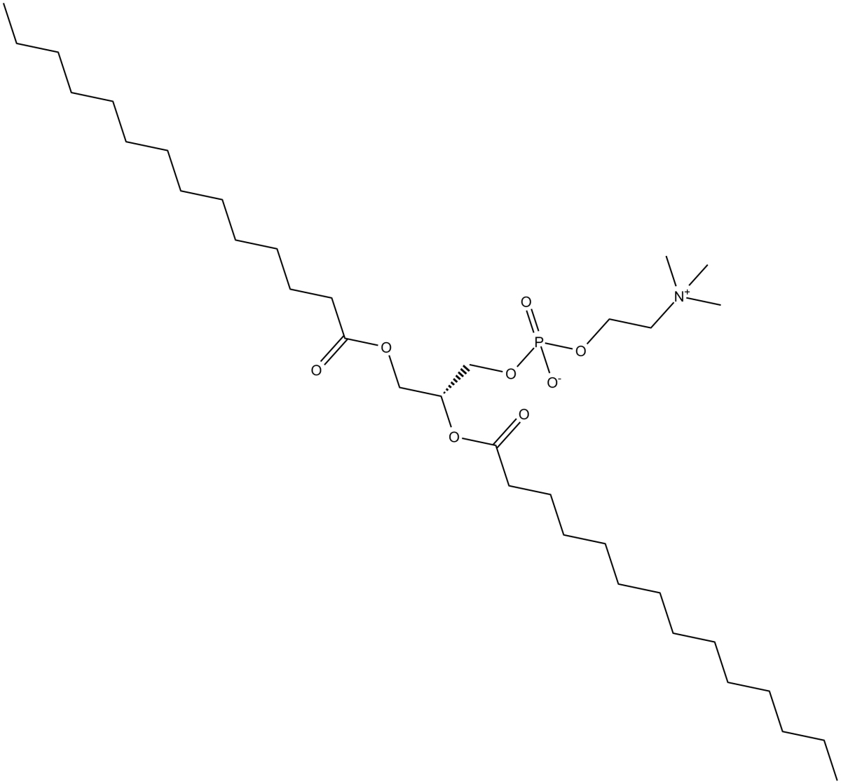 1,2-Dimyristoyl-sn-glycero-3-PCͼƬ