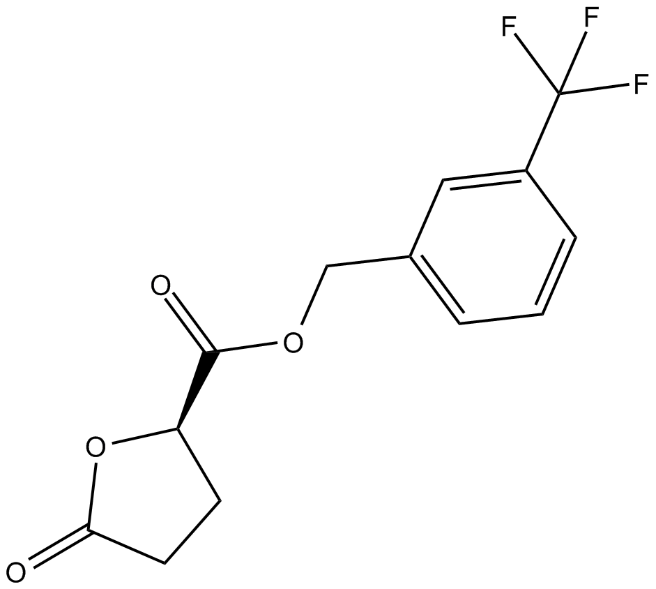 TFMB-R-2-HGͼƬ