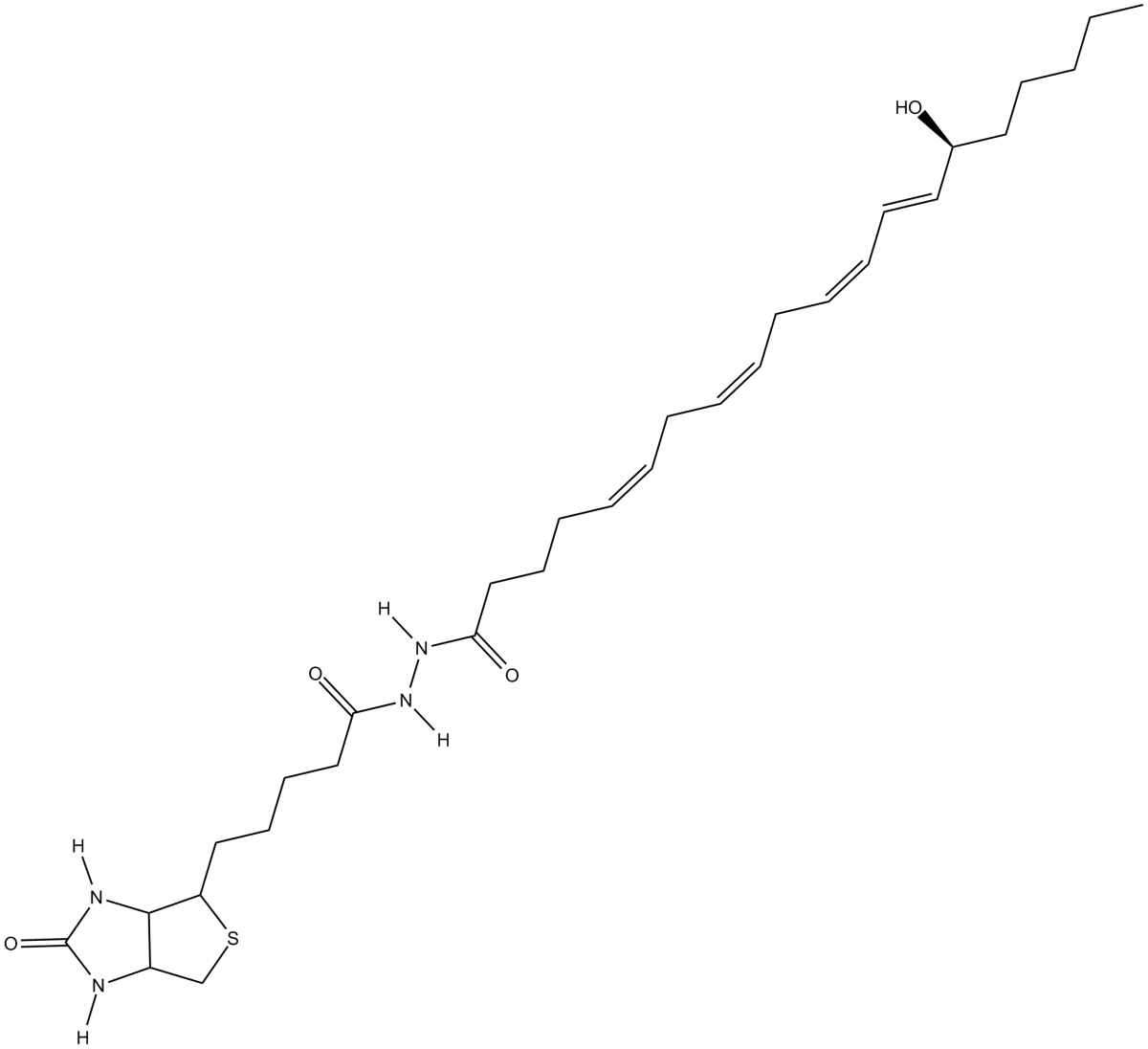 15(S)-HETE-biotin图片