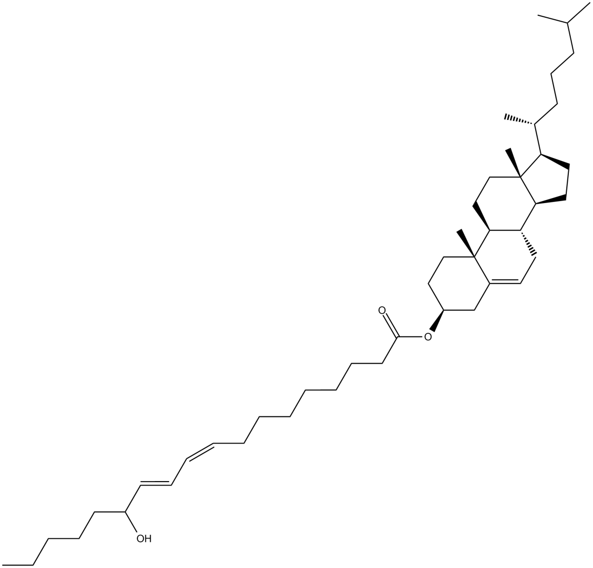 ()13-HODE cholesteryl esterͼƬ