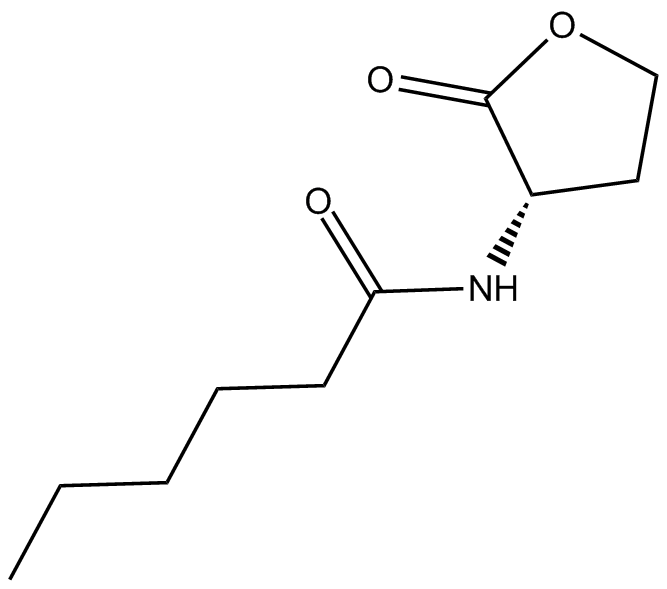 N-hexanoyl-L-Homoserine lactoneͼƬ