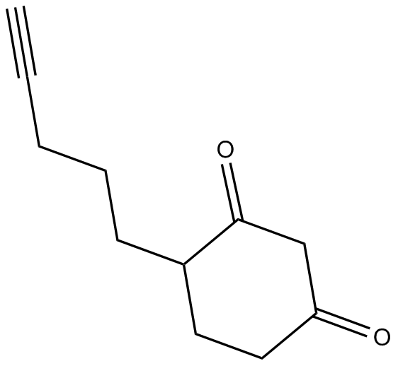 DYn-2ͼƬ