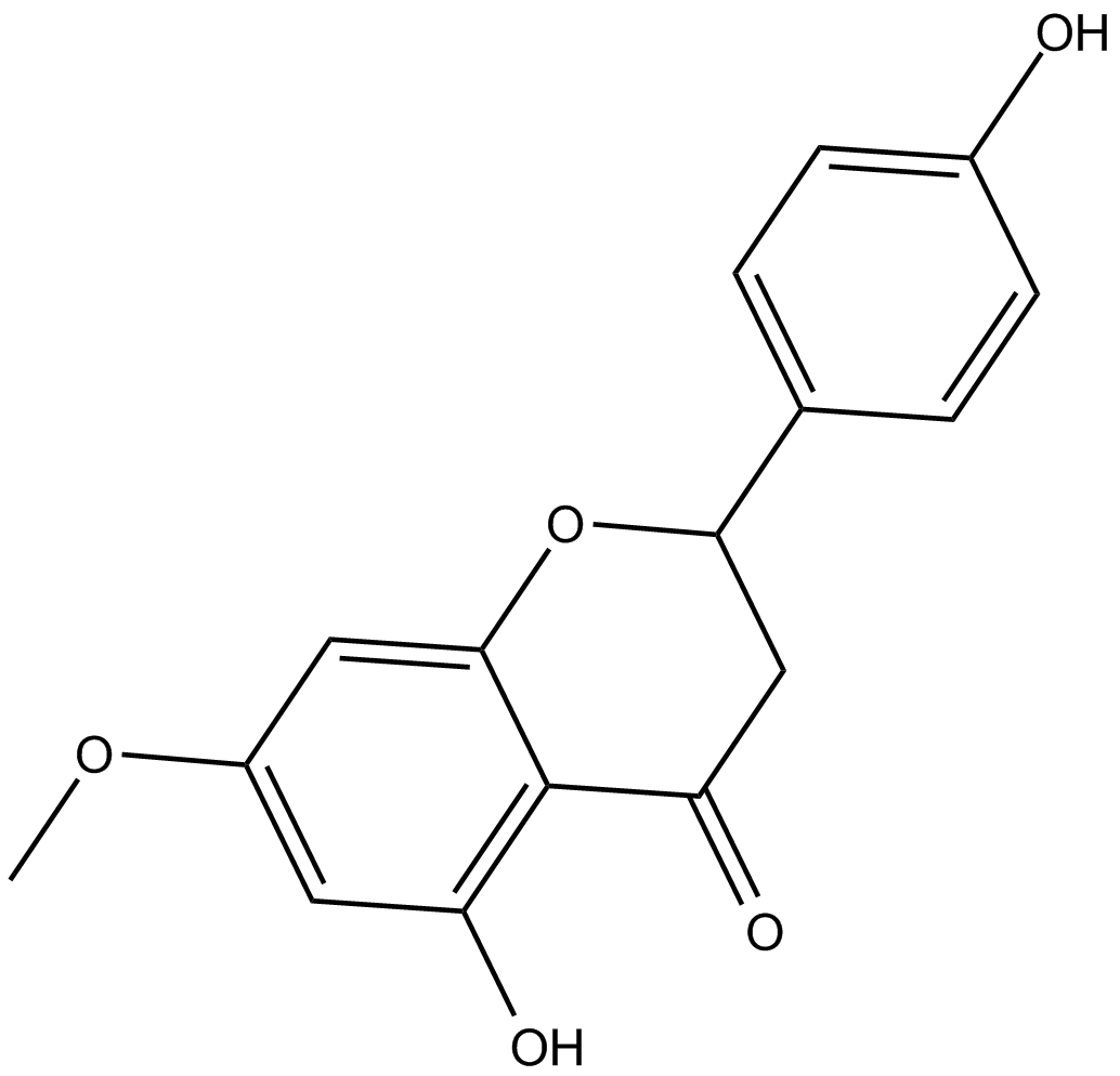 SakuranetinͼƬ