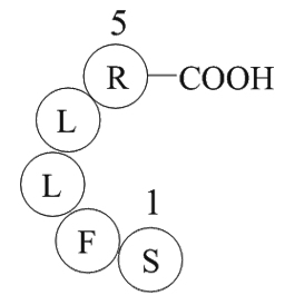 Thrombin Receptor Activator for Peptide 5(TRAP-5)ͼƬ