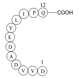 Epidermal Growth Factor Receptor Peptide(985-996)ͼƬ