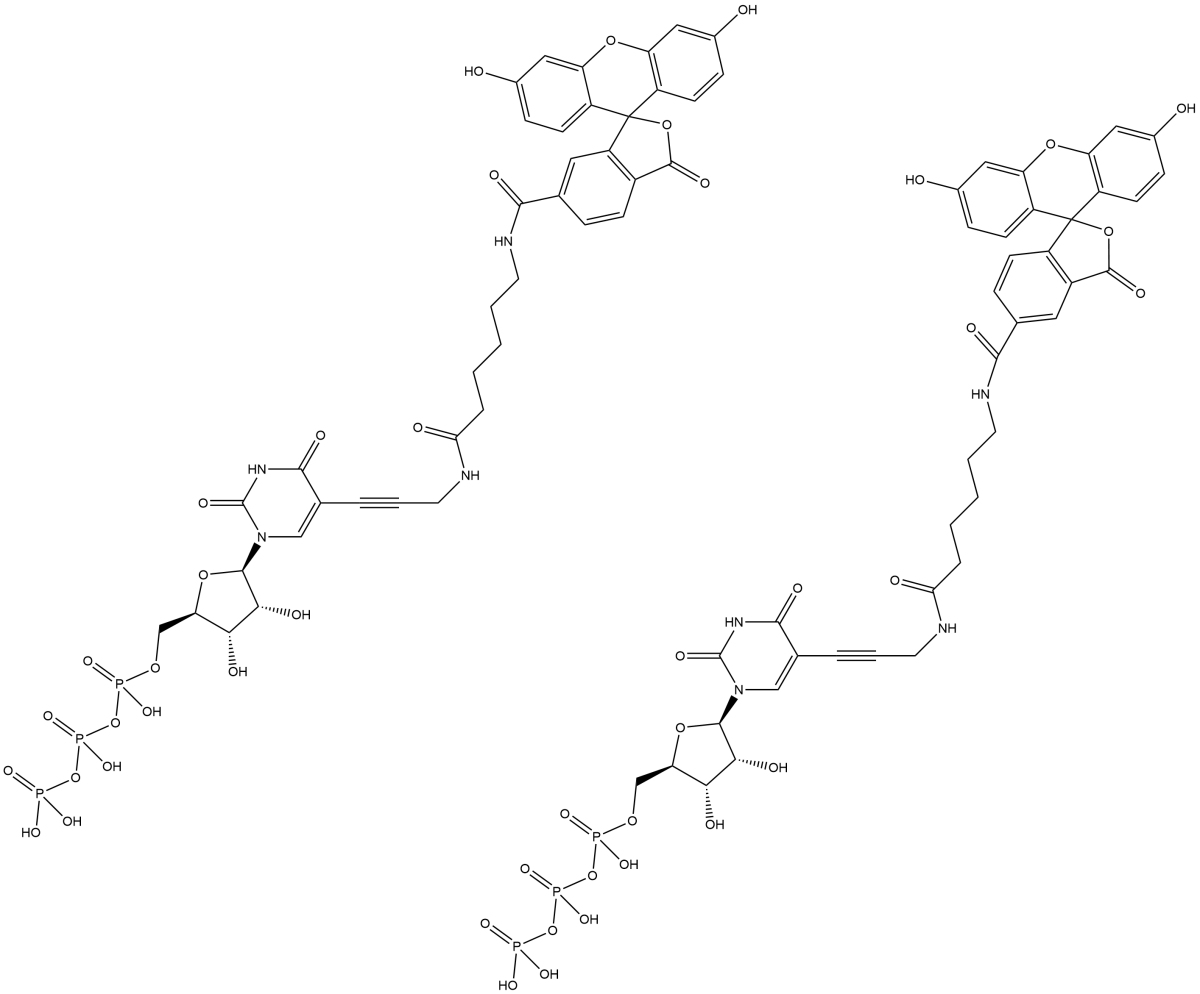 Fluorescein-12-UTPͼƬ