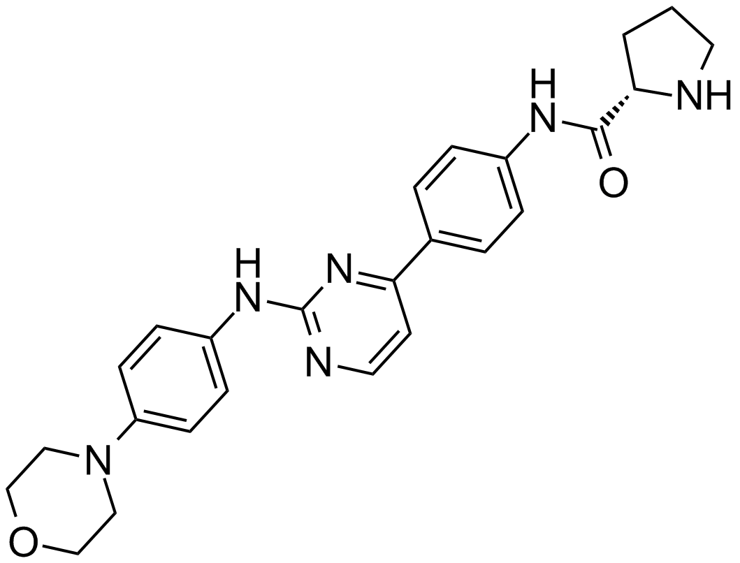 XL019ͼƬ