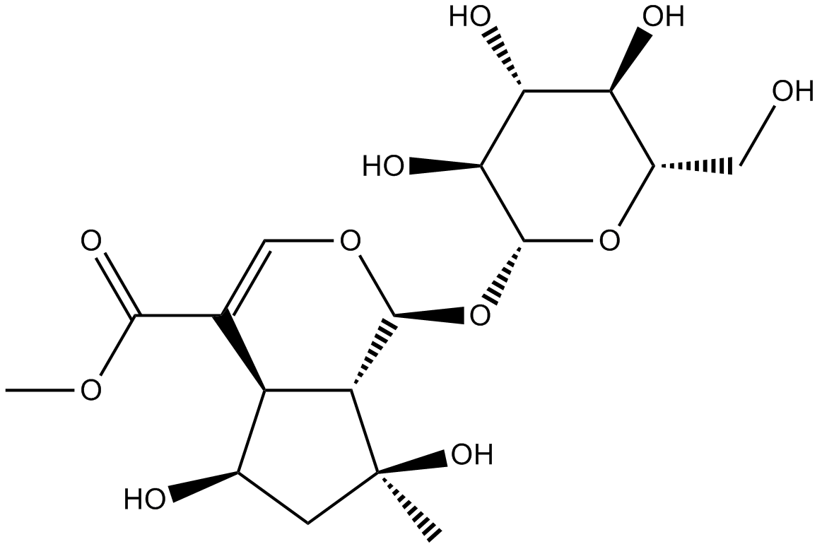 Shanzhiside methylesterͼƬ