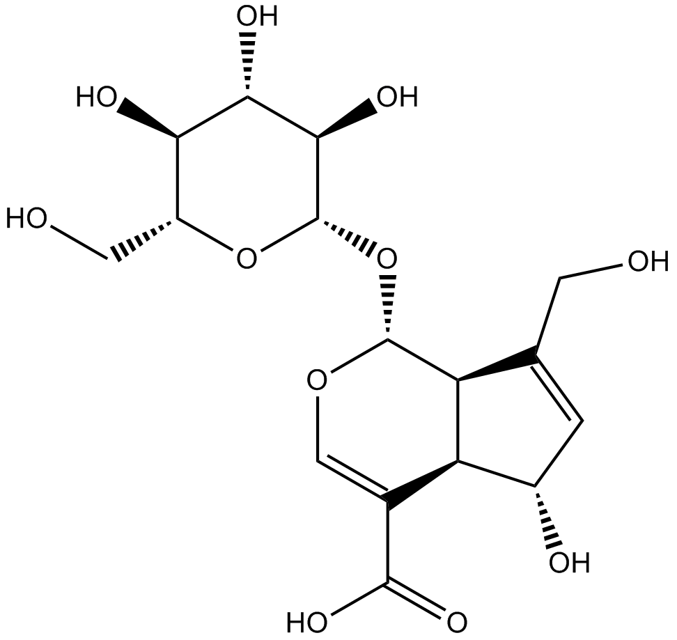 Desacetyl asperulosidic acidͼƬ