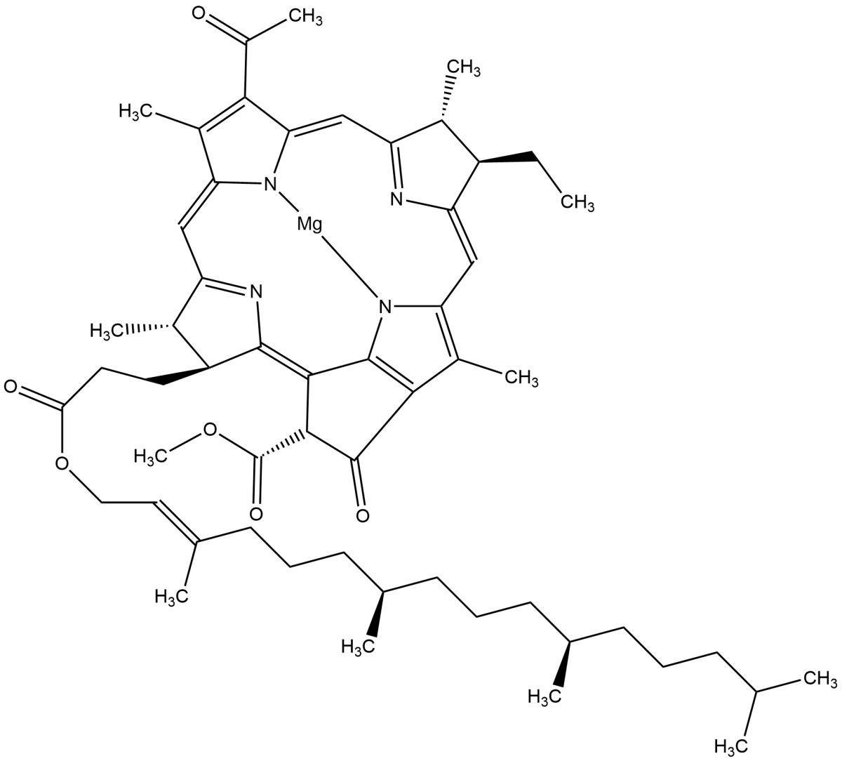 Bacteriochlorophyll from Rhodopseudomonas sphaeroidesͼƬ