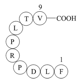 Cytochrome P450 CYP1B1(190-198)[Homo sapiens]ͼƬ