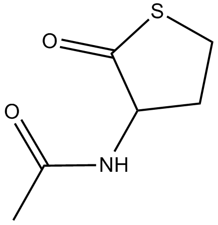 CitioloneͼƬ