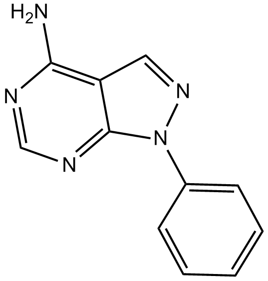 PP 3图片